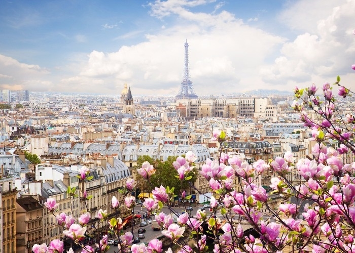 Sự lãng mạn của mùa xuân Paris