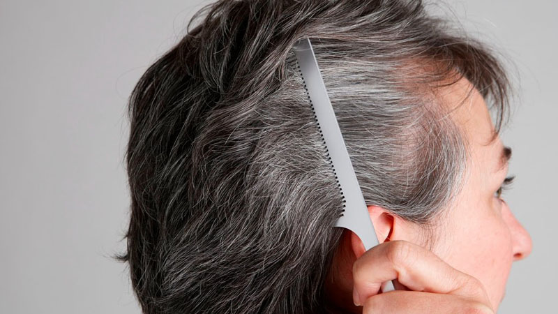 Tư vấn một số bài thuốc đơn giản hiệu quả chữa tóc bạc sớm 